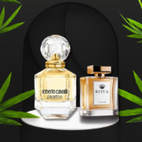 Roberto Cavalli - Paradiso