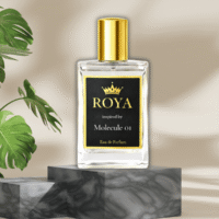 Escentric Molecules - Molecule 01