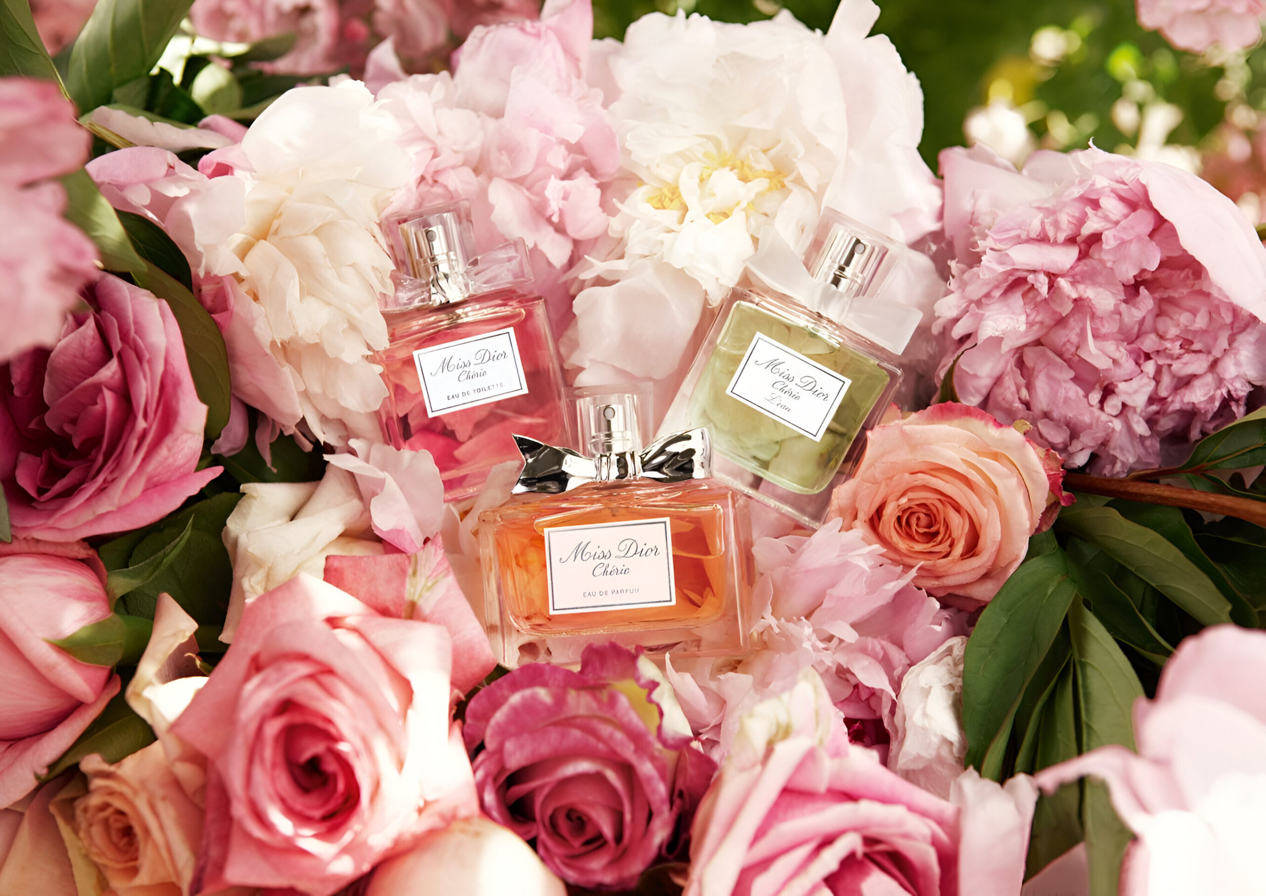 a7564053e0297b05733f473d391add12 (1)